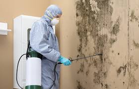 Professional Mold Removal Services in Clinton, NC